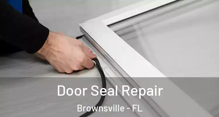 Door Seal Repair Brownsville - FL
