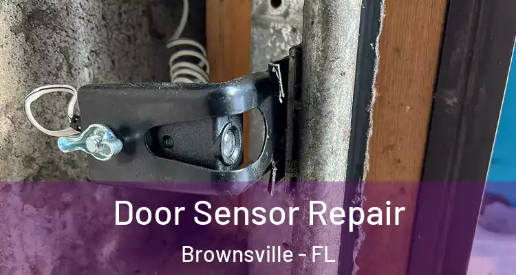 Door Sensor Repair Brownsville - FL
