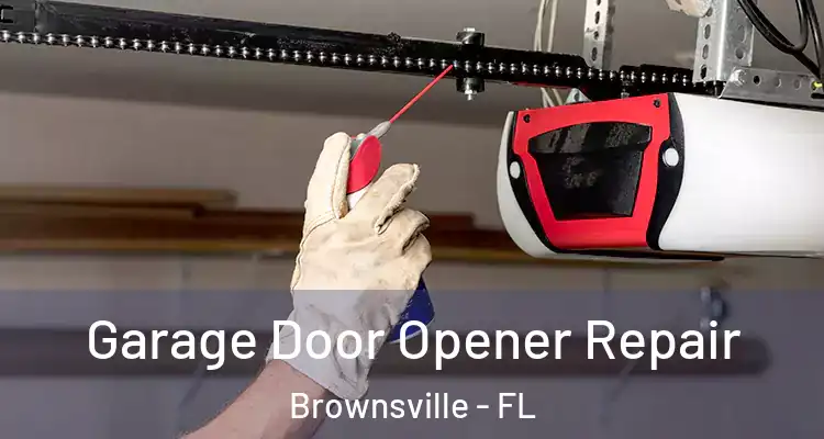 Garage Door Opener Repair Brownsville - FL