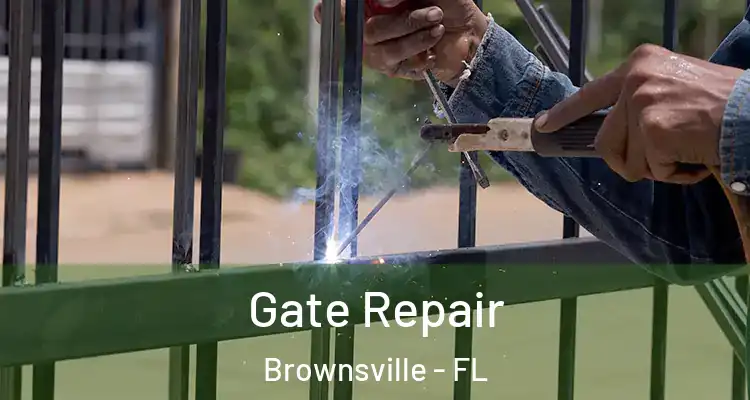 Gate Repair Brownsville - FL