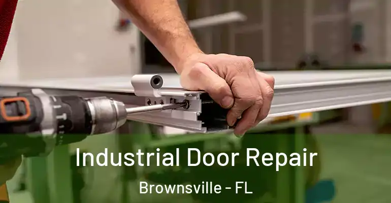 Industrial Door Repair Brownsville - FL