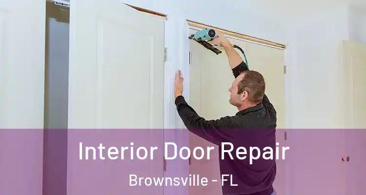 Interior Door Repair Brownsville - FL