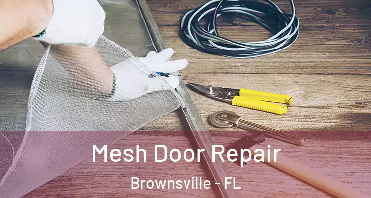 Mesh Door Repair Brownsville - FL