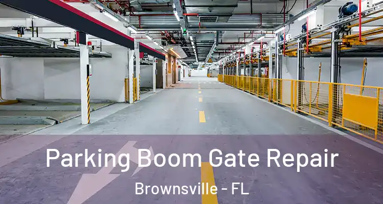 Parking Boom Gate Repair Brownsville - FL