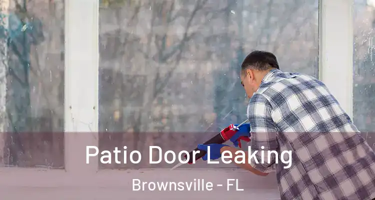 Patio Door Leaking Brownsville - FL