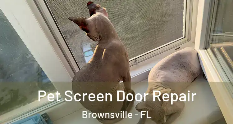Pet Screen Door Repair Brownsville - FL