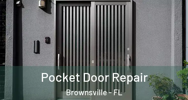 Pocket Door Repair Brownsville - FL