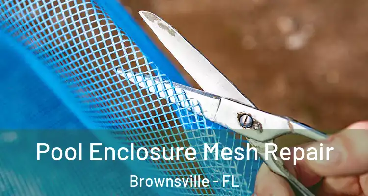 Pool Enclosure Mesh Repair Brownsville - FL