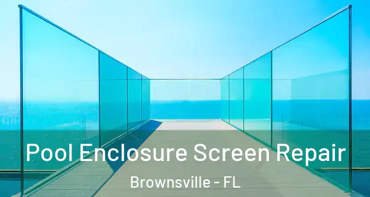 Pool Enclosure Screen Repair Brownsville - FL