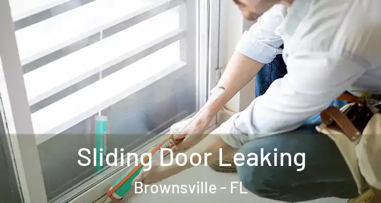 Sliding Door Leaking Brownsville - FL