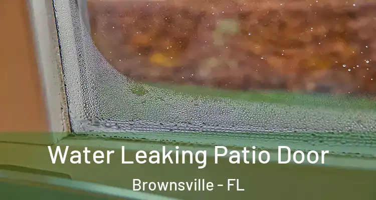 Water Leaking Patio Door Brownsville - FL