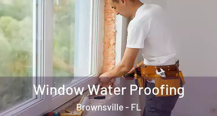 Window Water Proofing Brownsville - FL
